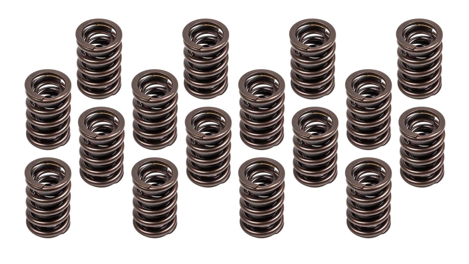 1.460 Valve Spring Set 16 - Burlile Performance Products