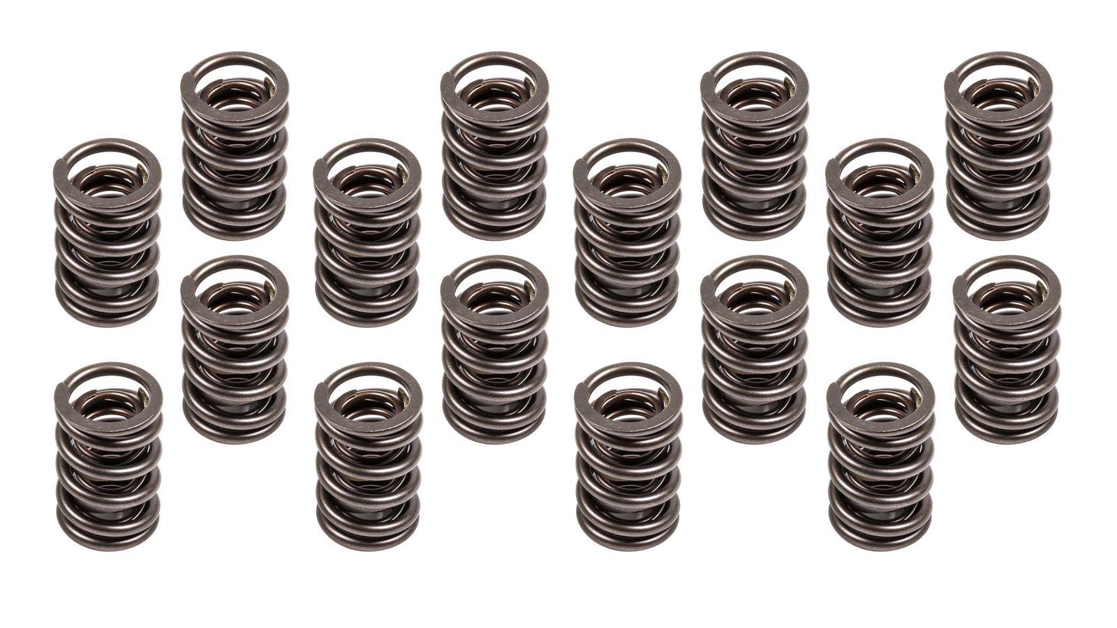 1.540 Valve Spring Set 16 - Burlile Performance Products
