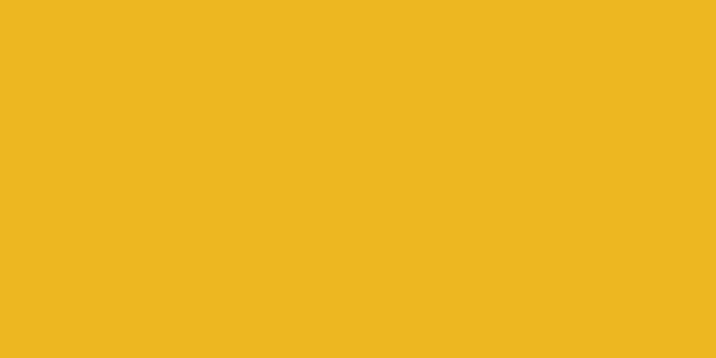 4x8 Plastic Yellow .100in - Burlile Performance Products