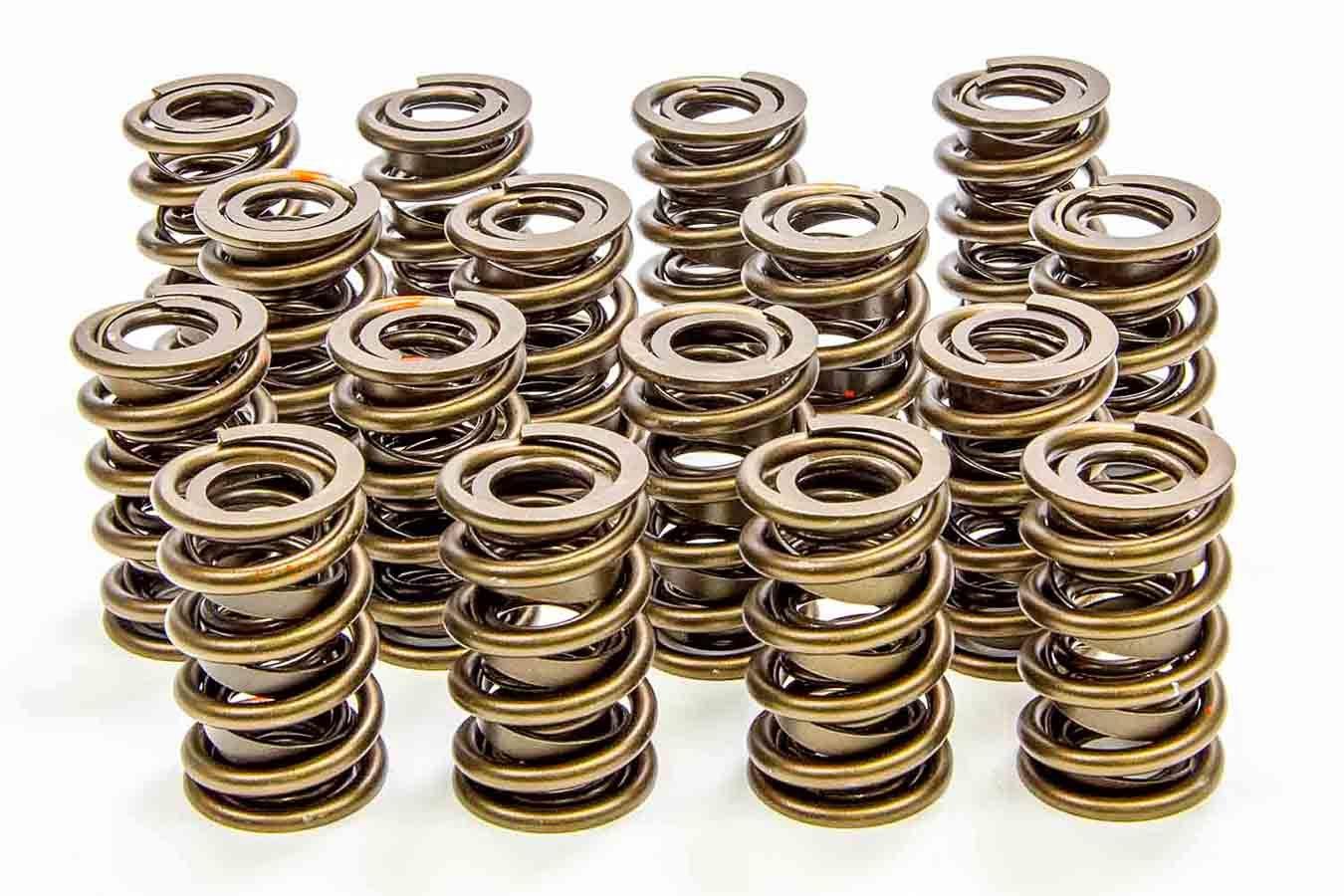 1.560in Valve Springs - Burlile Performance Products