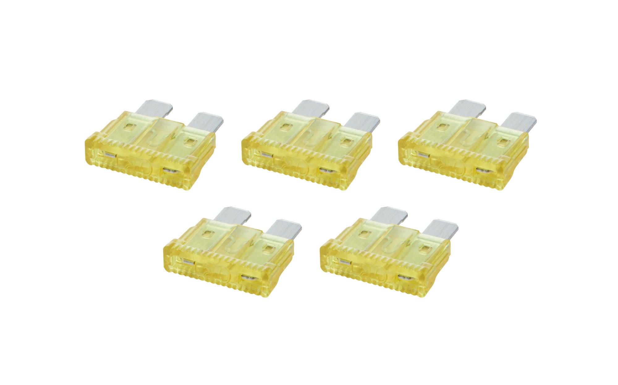 ATC/ATO Fuse 20 Amp 5pk - Burlile Performance Products