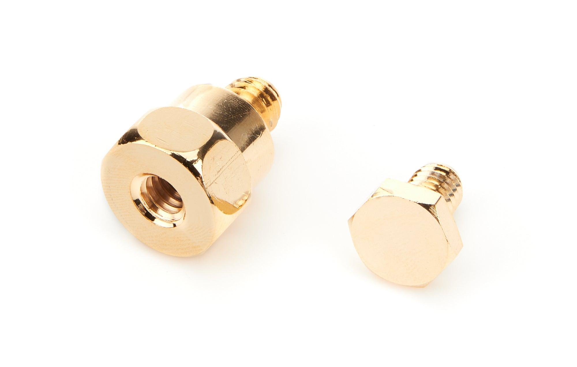 Battery Terminals Side Mount Gold Bolt (Pair) - Burlile Performance Products