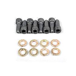 Bolt Kit Thread Rotor To Mounting Hats - Burlile Performance Products
