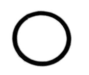 Fuel Inlet Fitting Gasket - Burlile Performance Products