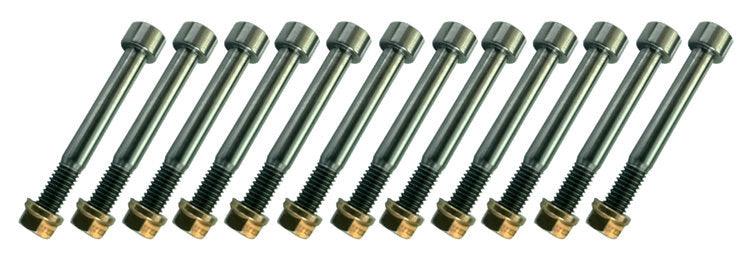 Nerf Bar Bolt Kit Titanium - Burlile Performance Products
