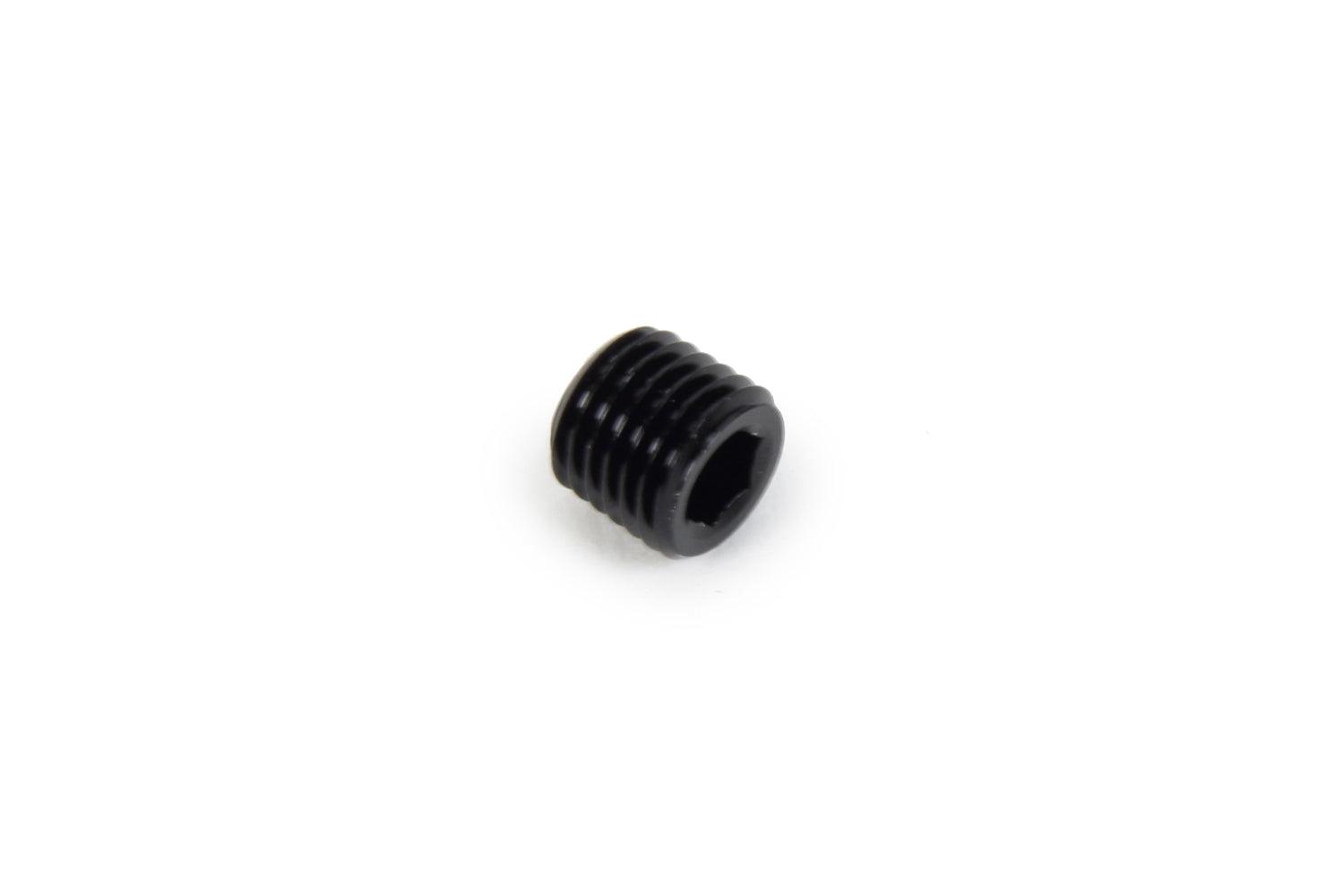 NPT Allen Plug 1/16 - Burlile Performance Products