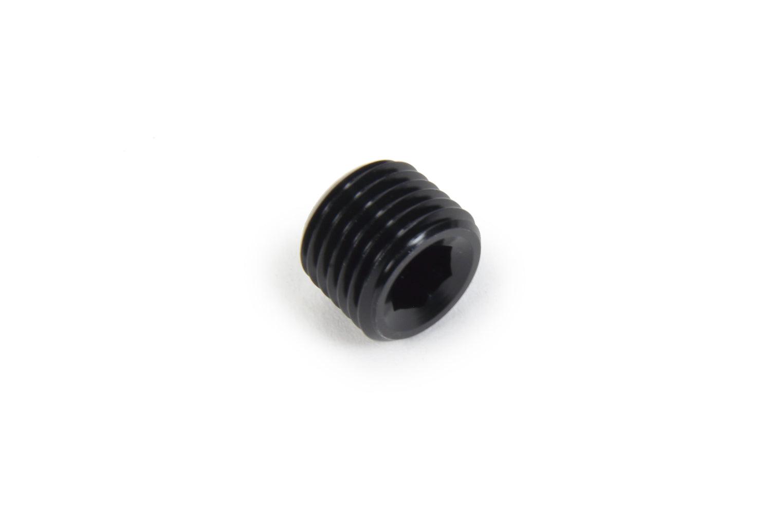 NPT Allen Plug 1/4 - Burlile Performance Products