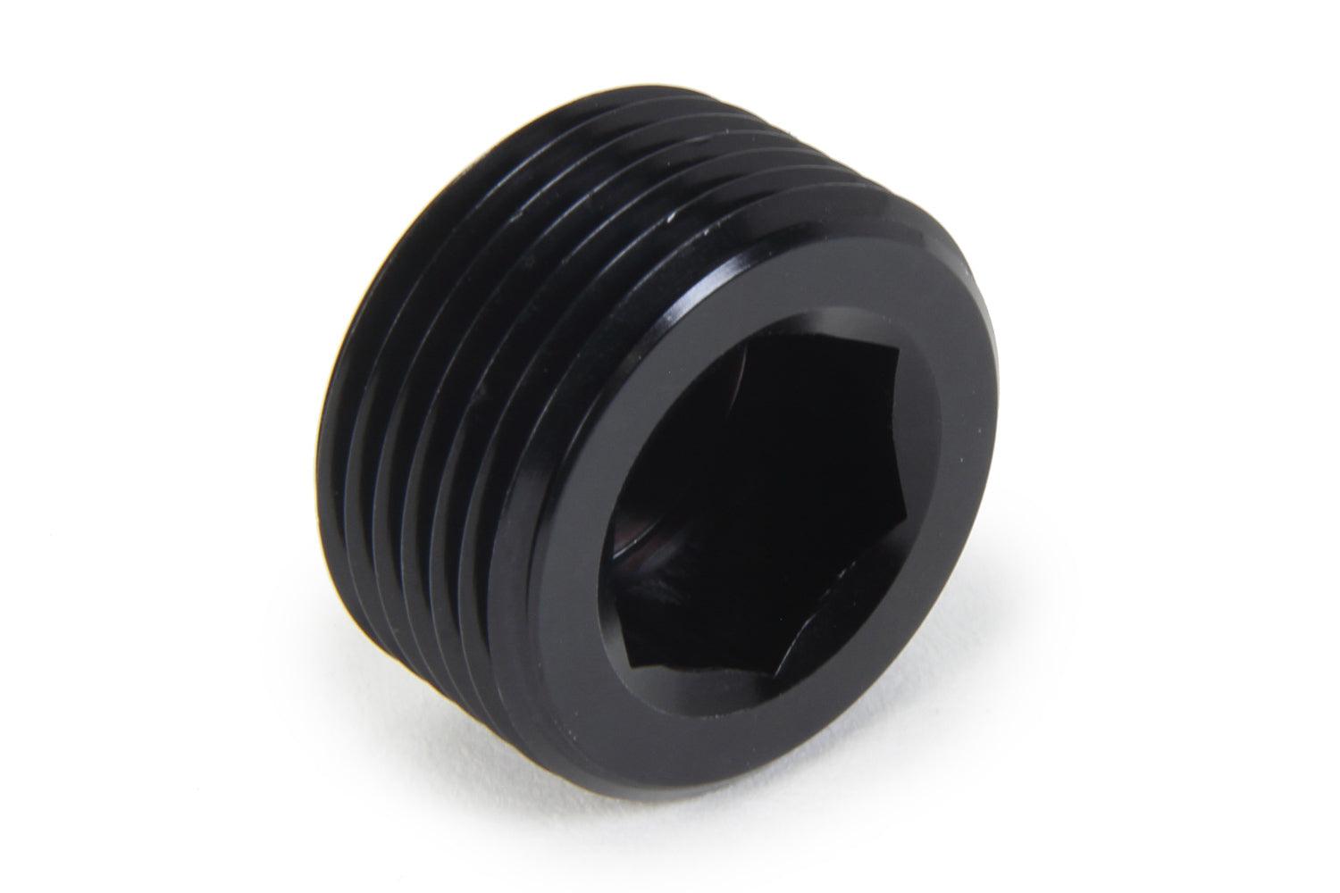 NPT Allen Plug 3/4 - Burlile Performance Products