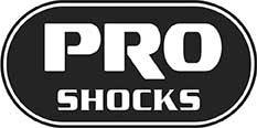 Pro Shock Street 2019 - Burlile Performance Products