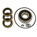 P/S Pump Seal Kit with Bearing - Burlile Performance Products