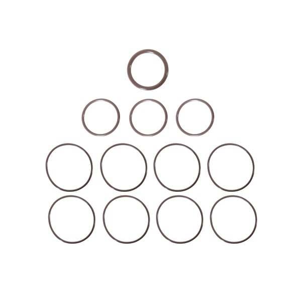 Repl. O-Ring Kit Ford Ford 7.3L Godzilla Int. - Burlile Performance Products