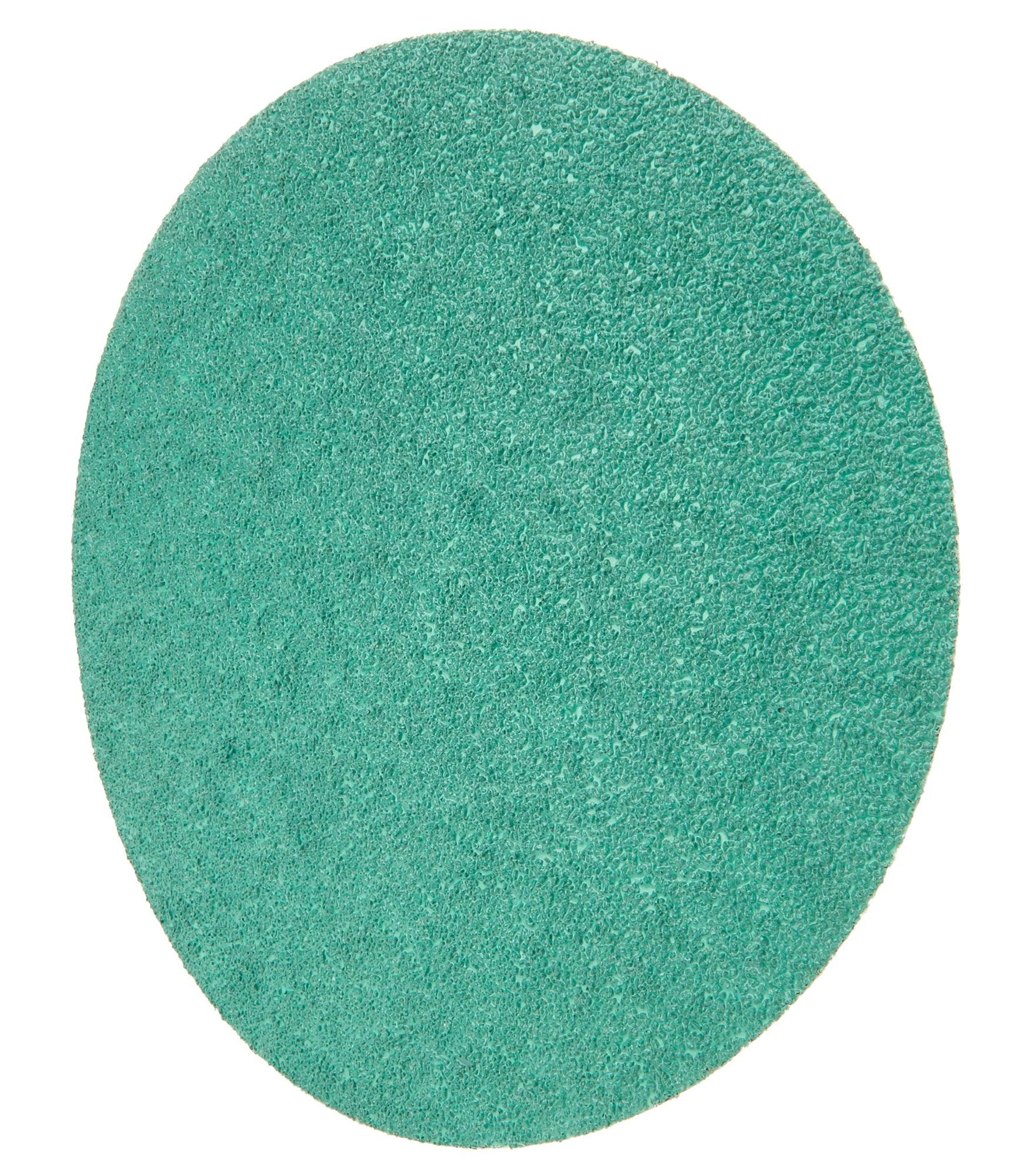 Sanding Discs 8in 36 Grit 20pk - Burlile Performance Products