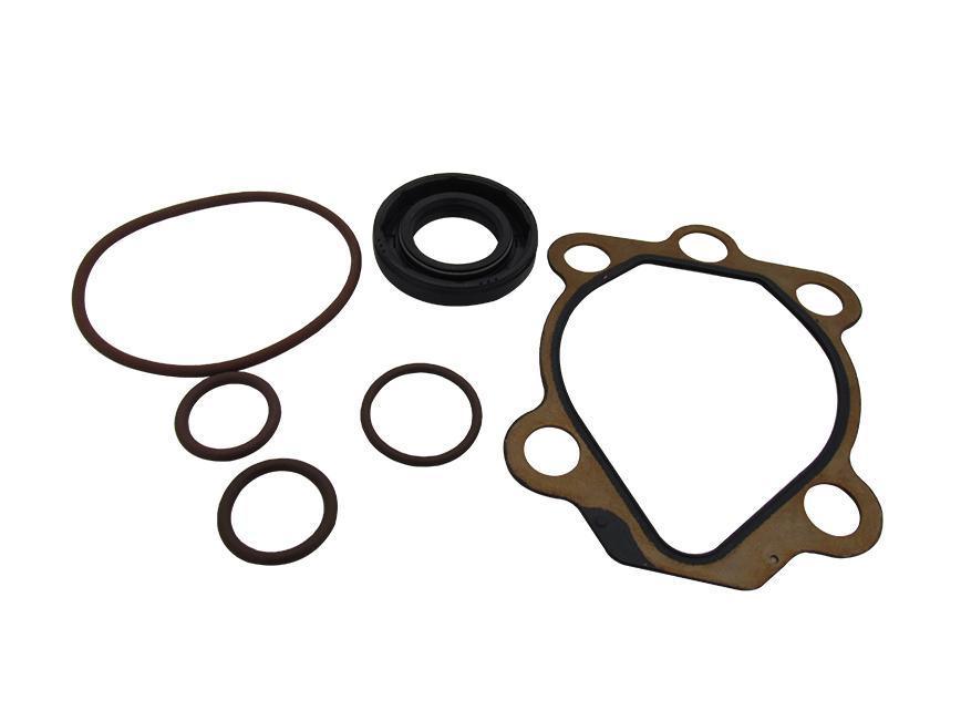 Seal Kit For Iron Pump - Burlile Performance Products