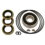 Seal Kit for Tandem Pump Ser #5267 & Lower - Burlile Performance Products